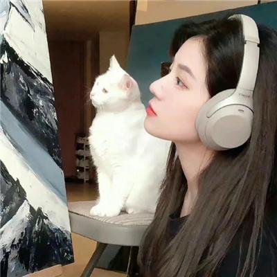王子学院之绝对经济师